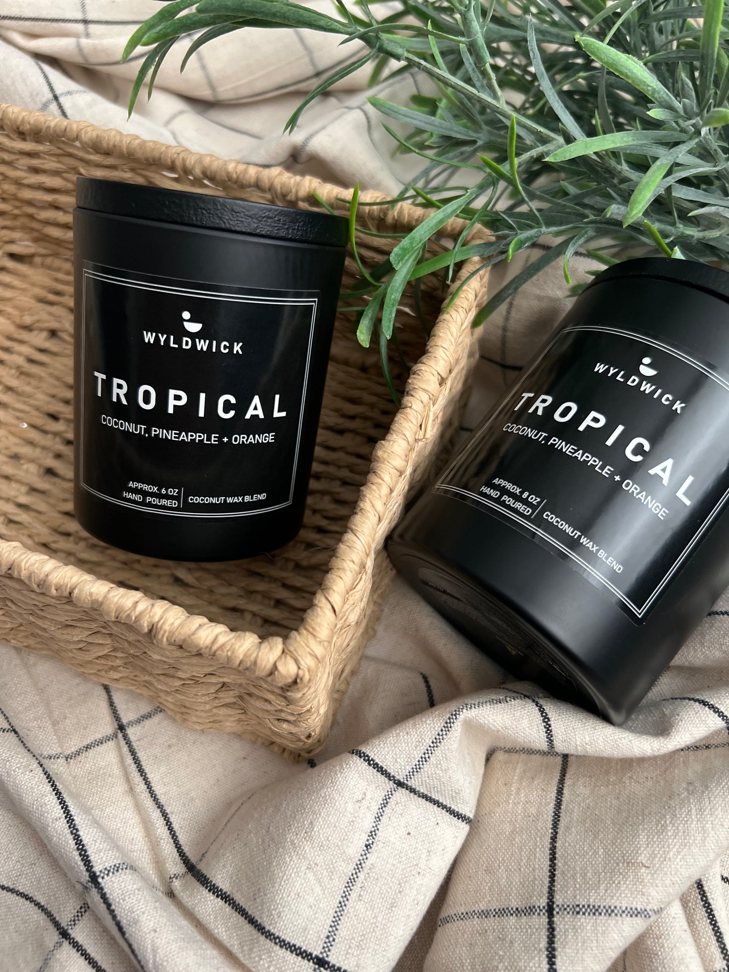 TROPICAL Candle